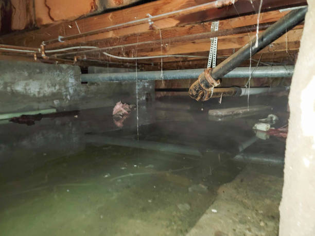 Best Residential water damage restoration  in East Lansdowne, PA