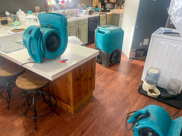 Best 24/7 water damage repair  in East Lansdowne, PA