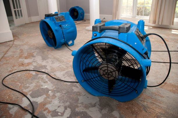 Best Professional water damage repair  in East Lansdowne, PA